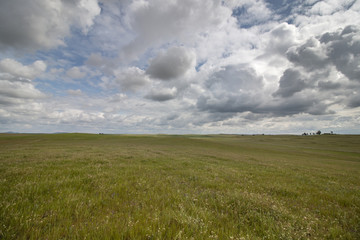 Wide landscape view of the beautiful spring countryside of the Alentejo region, Portugal.