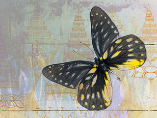 Plakat butterfly( Thai background )