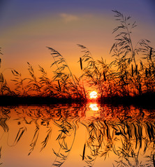 Panele Szklane  trawa na tle zachodu słońca niebo nad wodą jeziora