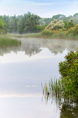 morning scene on river
