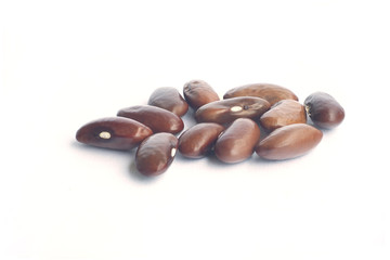 cute little brown bean