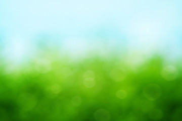 Fototapeta premium Spring background
