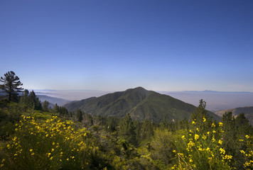 San Bernardino National Forest, Ca,USA 