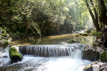 Small waterfall on the river in the forest