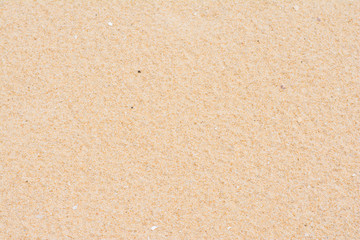 texture of sand on the beach