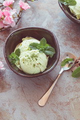 Matcha Mint Chip Ice Cream