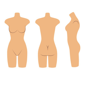 Woman mannequin torso flat style