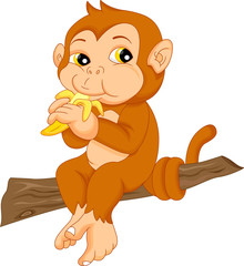 cute monkey cartoon 