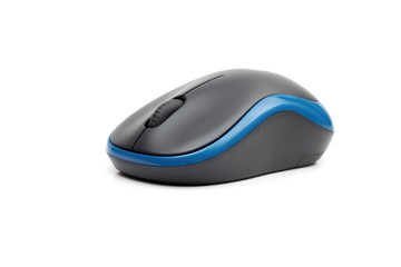
mouse on the white background