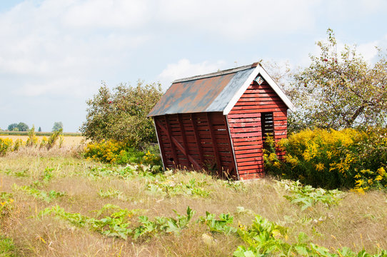 old crooked red shed in a field