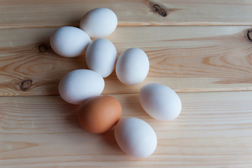 fresh eggs
