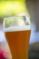 Weißbierglas im Sonnenschein