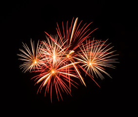 Fireworks in the night