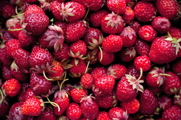 Background from fresh strawberry. Strawberry. 