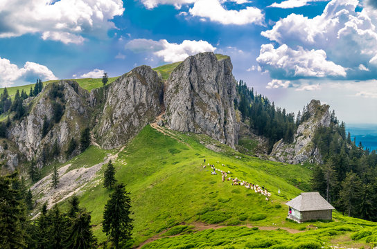 Mountain landscape with sheepfold in Carpathian Mountains, Romania