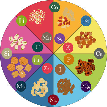 Nuts And Micronutrients