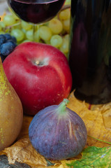 Wine and fruit