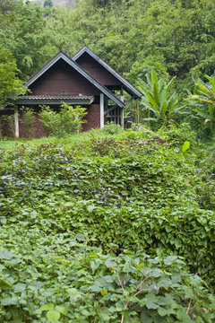 a wood cottage style house located in the Thai tropical rainforest rural scene