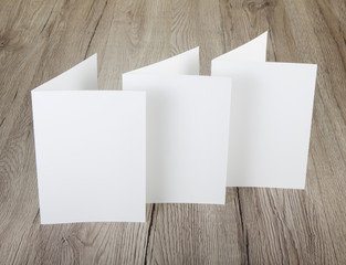 blank white folding paper flyer