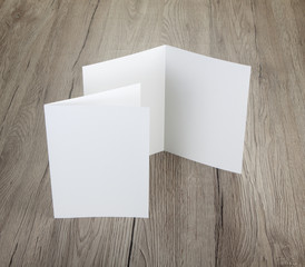 blank white folding paper flyer