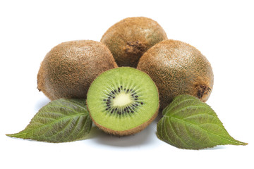 kiwi - fruits and leaves