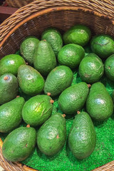 Fresh Green Avocado in The Basket Background Texture