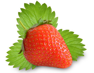 strawberry fresh green leaves