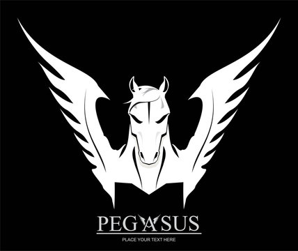 White Pegasus Horse Head. / suitable for team identity, sport club logo or mascot, insignia, embellishment, emblem, illustration for apparel, mascot, equestrian club, motorcycle community, etc.