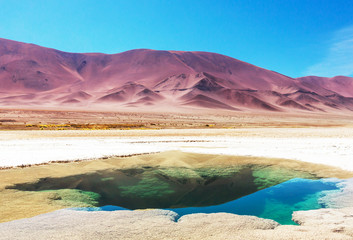 Naklejka premium Salinas in Argentina