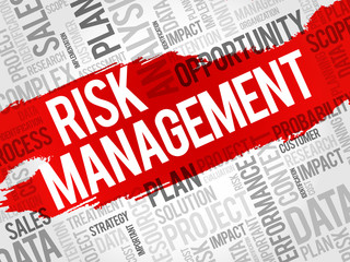 Risk Management word cloud, business concept