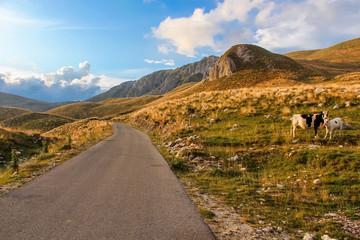 Durmitor, Montenegro