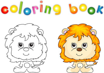 Funny and cute lion
