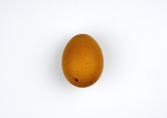 Chicken's egg on white background
