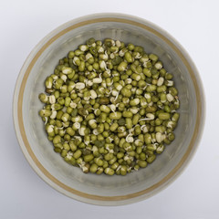 mung bean, vegetarian, raw food