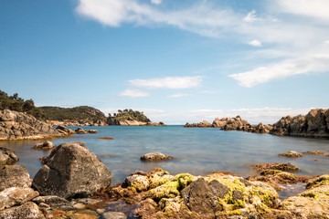 Fototapeta premium Coastal