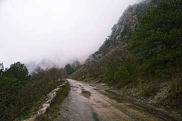 mountain road in the rain and fog
