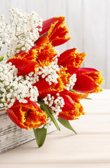 Beautiful orange tulips and Gypsophila paniculata (Baby's-breath