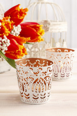 Beautiful orange tulips and Gypsophila paniculata (Baby's-breath