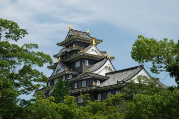 Okayama castle  in Japan