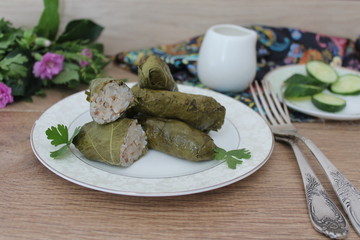 dolma, stuffed grape leaves, turkish and greek cuisine 