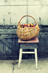 Color bulbs of a gladiolus in a wattled basket against an old wooden door