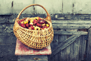 Color bulbs of a gladiolus in a wattled basket against an old wooden door