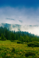 Fog covering the mountain forests.