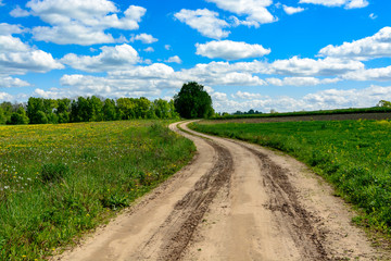 Fototapeta na wymiar Country road with cloudy sky