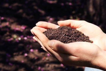 Handful of black soil above ground