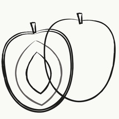  Fruit vector