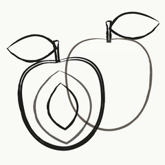  Fruit vector