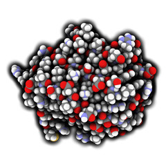 Von Willebrand factor (A3 domain). 