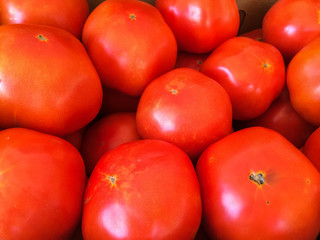 red ripe tomatoes in grouping close up