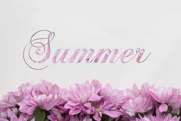 Summer flowers on white background 